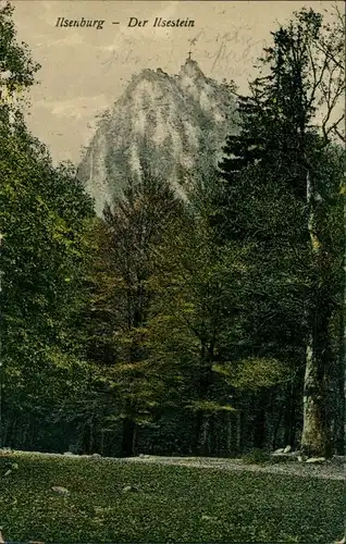 Ansichtskarte Ilsenburg (Harz) Ilsestein / Ilsenstein - Waldpartie 1917