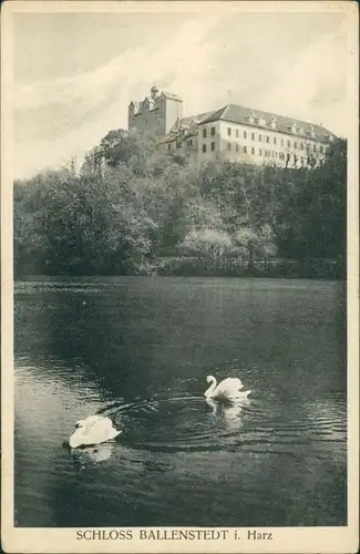 Ansichtskarte Ballenstedt (Harz) Schloss, Schwäne 1931