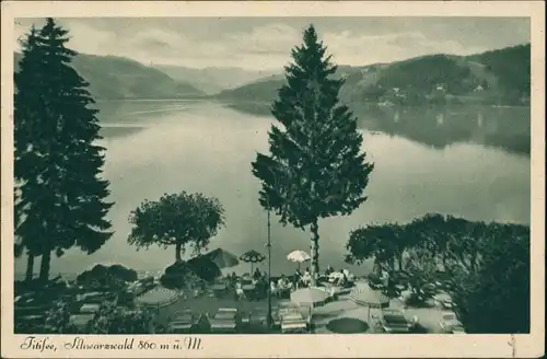Ansichtskarte Titisee Panorama-Ansicht mit Gaststätte im Vordergrund 1943