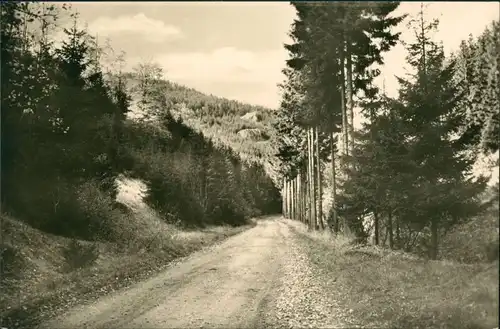 Ansichtskarte Sophienau-Sachsenbrunn Oberer Werragrund - Weg 1957