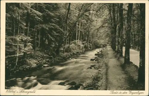 Ansichtskarte Bad Wildbad Partie am Bach 1935