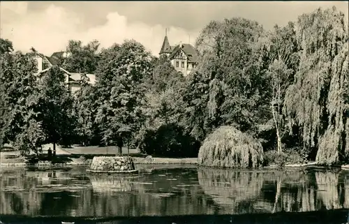 Ansichtskarte Bad Sulza Schwanenteich 1967