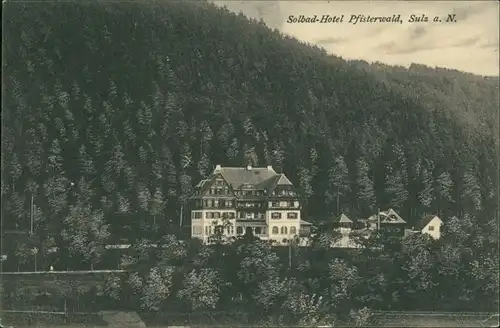 Ansichtskarte Sulz am Neckar Solbad-Hotel Pfisterwald 1910