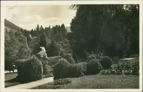 Ansichtskarte Bad Wildbad Kurpark 1929