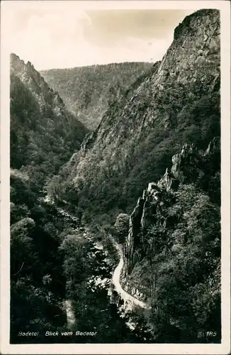 Ansichtskarte Treseburg Bodetal Harz - Blick vom Bodetor 1941