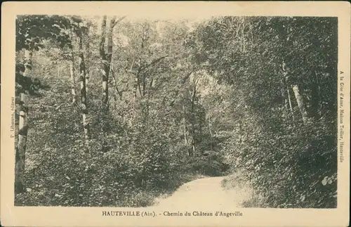 CPA Hauteville Der Weg im Wald 1929