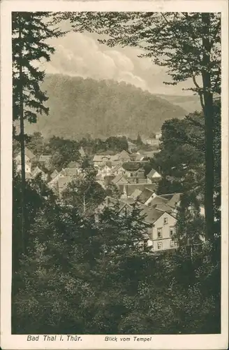 Ansichtskarte Bad Thal-Ruhla Panorama-Ansicht 1928