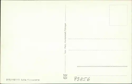 Ansichtskarte Hinterzarten Blick auf die Stadt 1931 