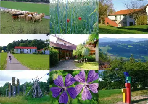 Ansichtskarte _Baden-Württemberg Odenwald-Institut 2015