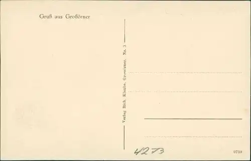 Ansichtskarte Großörner-Mansfeld Blick auf die Stadt 1922 