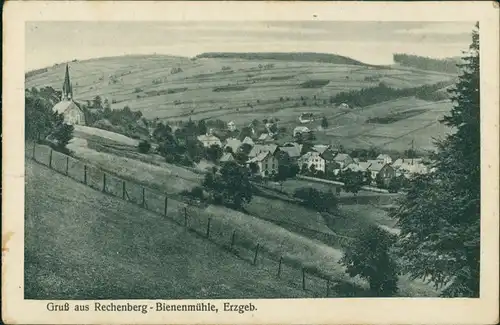 Ansichtskarte Rechenberg-Bienenmühle Blick auf die Stadt 1924 