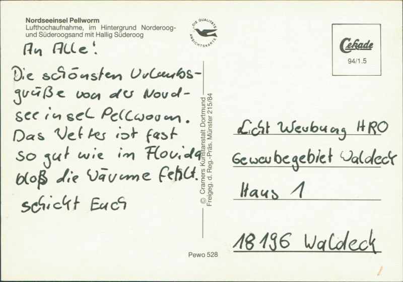 Ansichtskarte Amt Pellworm Luftbild Felder und Wiesen 1994 Nr. 142983