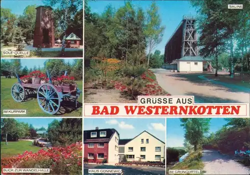 Bad Westernkotten-Erwitte Sole-Quelle, Kurpark, Saline, Wandelhalle 1972