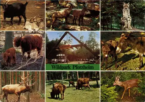Ansichtskarte Pforzheim Wildpark 1992