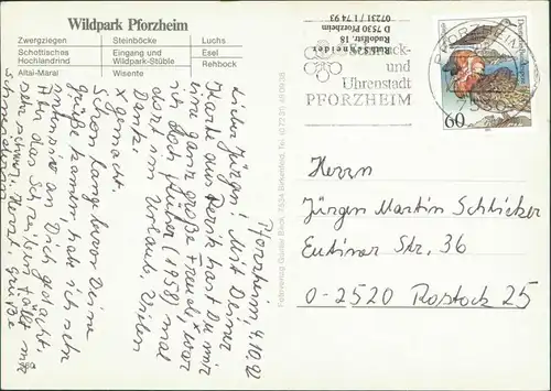 Ansichtskarte Pforzheim Wildpark 1992