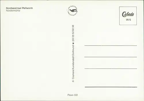 Ansichtskarte Amt Pellworm Nordermühle mit blühenden Feldern 1991