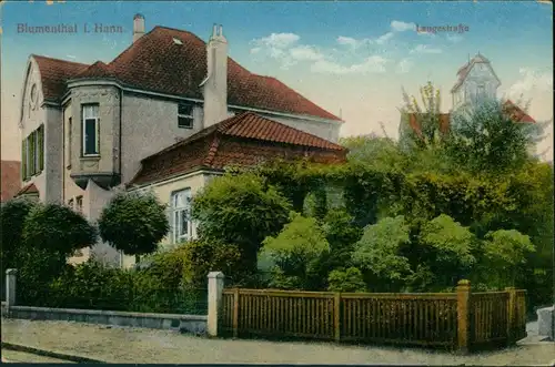 Ansichtskarte Blumenthal (Holstein) Langestraße 1917 
