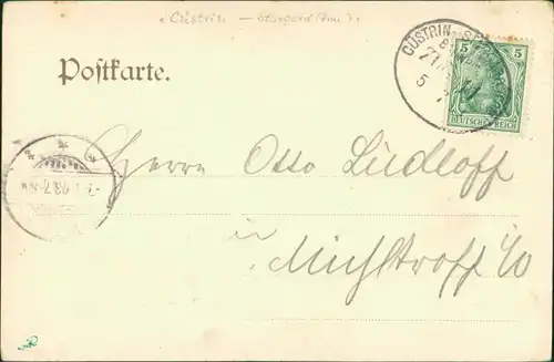 Postcard Neudamm (Neumark) Dębno Richtstraße Myśliborski (Kreis Soldin)   1903