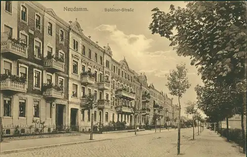Postcard Neudamm (Neumark) Dębno Soldiner Straße Myśliborski (Kr Soldin)  1918