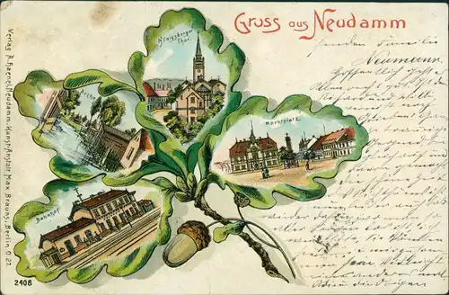 Litho Kleblatt Neudamm (Neumark) Dębno Bahnhof,  Myśliborski   Soldin)  1901