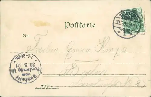 Neudamm (Neumark) Dębno Marktplatz, Kirche,  Myśliborski (Kreis Soldin)   1901