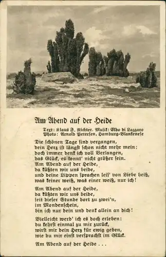 Ansichtskarte  Liedkarte: Am Abend auf der Heide (Klaus F. Richter) 1940