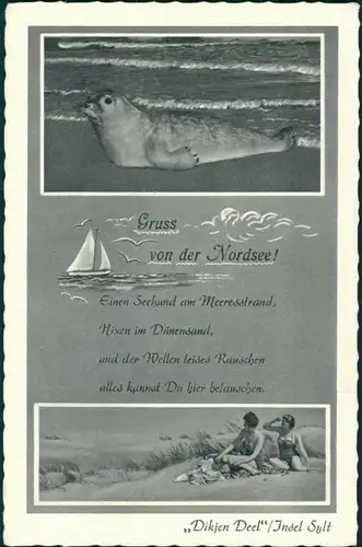 Ansichtskarte Westerland-Gemeinde Sylt Strand, Robbe - Sylt Dikjen Deel 1955 
