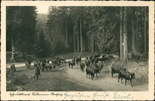 Ansichtskarte Wildemann (Innerstetal) Viehabtrieb - Spiegeltal 1940 