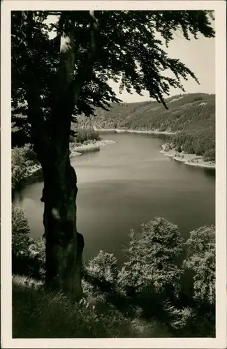 Ansichtskarte Saalburg-Ebersdorf (Saale) Bleilochtalsperre - Stausee 1955