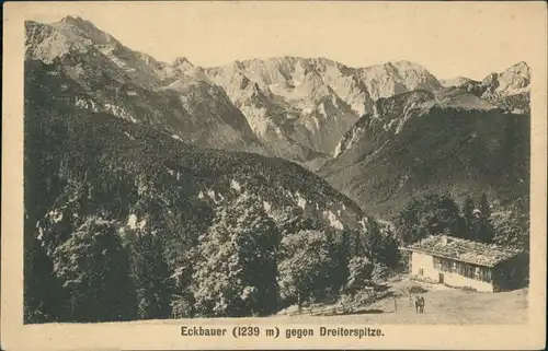Ansichtskarte Garmisch-Partenkirchen Eckbauer 1236m - gegen Dreitorspitze 1923