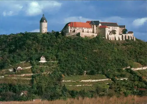 Ansichtskarte Freyburg (Unstrut) Schloß Neuenburg - Ansicht von Süden 1995