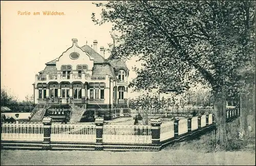 Ansichtskarte Bad Liebenwerda Villa im Wäldchen 1913 