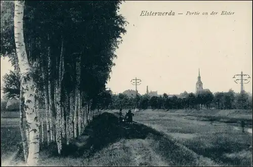 Ansichtskarte Elsterwerda Wikow Partie an der Elster 1920