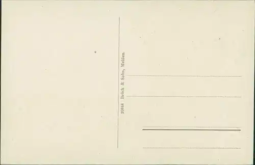 Ansichtskarte Elsterwerda Wikow Partie an der Elster 1920