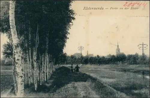 Ansichtskarte Elsterwerda Wikow Partie an der Elster 1920 b