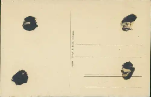 Ansichtskarte Elsterwerda Wikow Partie an der Elster 1920 b