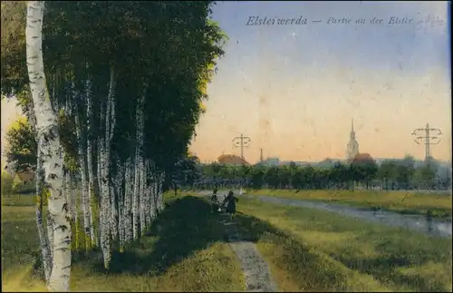 Ansichtskarte Elsterwerda Wikow Partie an der Elster 1920 coloriert