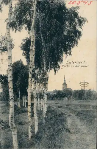 Ansichtskarte Elsterwerda Wikow Partie an der Elster Stadt b 1918