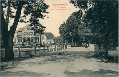 Ansichtskarte Bad Liebenwerda Straße am Elsterschlößchen 1915
