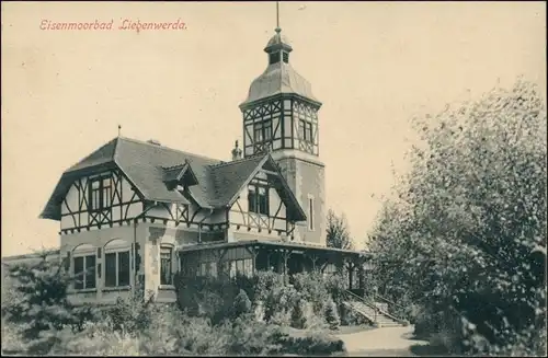 Ansichtskarte Bad Liebenwerda Partie an der Villa 1914 b