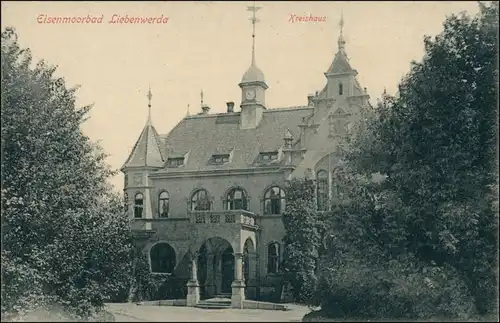 Ansichtskarte Bad Liebenwerda Kreishaus (Eisenmoorbad) 1913 b