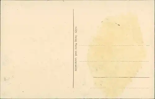 Ansichtskarte Bad Liebenwerda Kreishaus (Eisenmoorbad) 1913 b