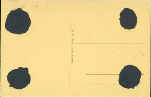 Ansichtskarte Elsterwerda Wikow Hauptstraße 1918 