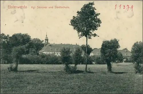 Ansichtskarte Elsterwerda Wikow Seminar und Stadtschule 1916