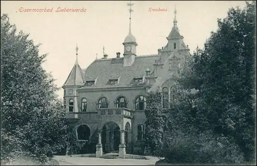 Ansichtskarte Bad Liebenwerda Kreishaus (Eisenmoorbad) 1913 c