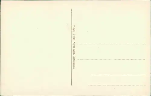 Ansichtskarte Bad Liebenwerda Kreishaus (Eisenmoorbad) 1913 c