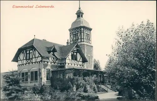Ansichtskarte Bad Liebenwerda Partie an der Villa 1914 (roter Aufdruck)