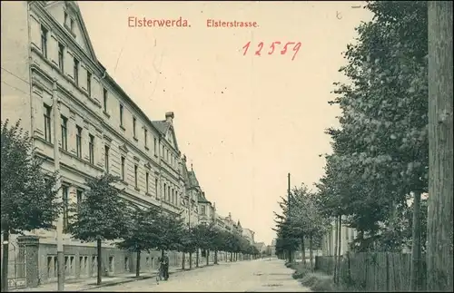 Ansichtskarte Elsterwerda Wikow Elsterstraße 1913