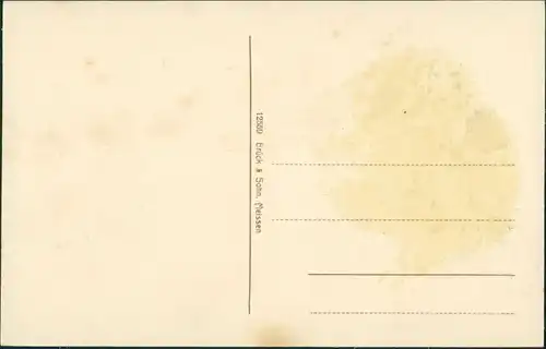 Ansichtskarte Elsterwerda Wikow Elsterstraße 1913 b
