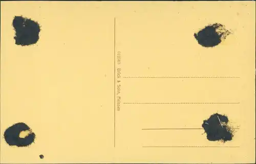 Ansichtskarte Elsterwerda Wikow Elsterstraße und Postamt 1918